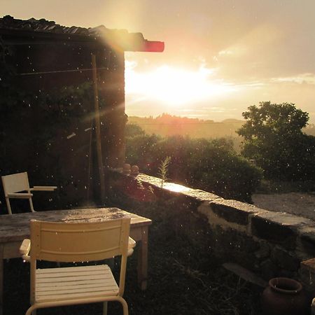 Sommavilla B&B Vicchio Eksteriør bilde