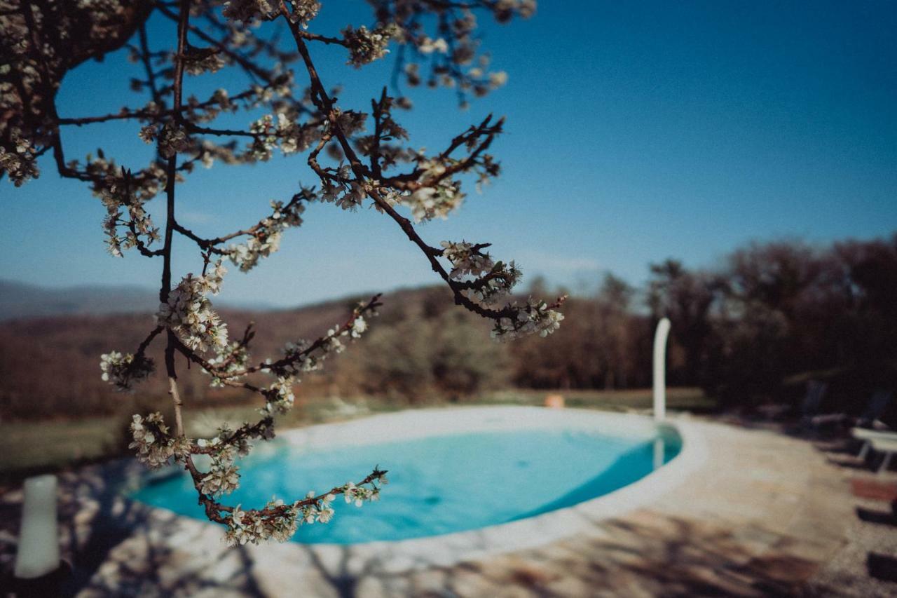 Sommavilla B&B Vicchio Eksteriør bilde